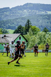 BVW vs. Vikings