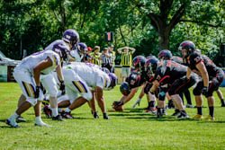 BVW vs. Vikings