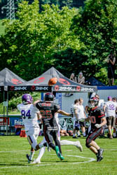 BVW vs. Vikings