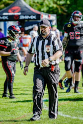 BVW vs. Vikings