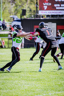 20.04.25 Black Valley Wild vs. Styrian Hurricanes