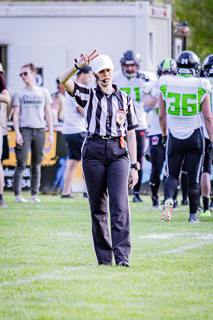 20.04.25 Black Valley Wild vs. Styrian Hurricanes