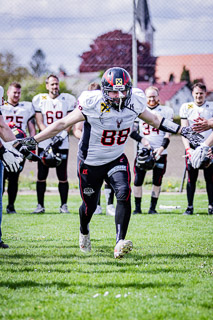 26.04.25 Goldwörth Raccoons vs. Black Valley Wild