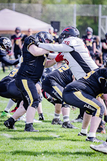 26.04.25 Goldwörth Raccoons vs. Black Valley Wild