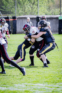 26.04.25 Goldwörth Raccoons vs. Black Valley Wild