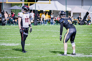 26.04.25 Goldwörth Raccoons vs. Black Valley Wild