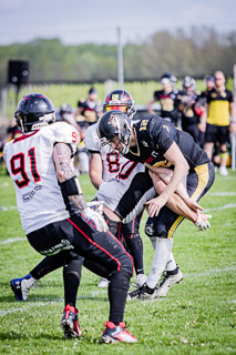 26.04.25 Goldwörth Raccoons vs. Black Valley Wild