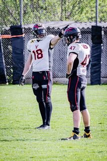 26.04.25 Goldwörth Raccoons vs. Black Valley Wild