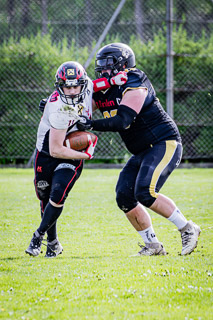 26.04.25 Goldwörth Raccoons vs. Black Valley Wild