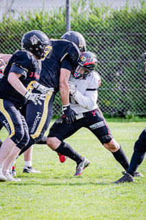 26.04.25 Goldwörth Raccoons vs. Black Valley Wild