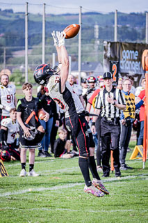 26.04.25 Goldwörth Raccoons vs. Black Valley Wild