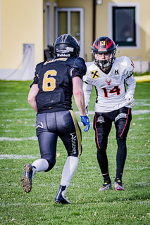 26.04.25 Goldwörth Raccoons vs. Black Valley Wild