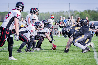 26.04.25 Goldwörth Raccoons vs. Black Valley Wild
